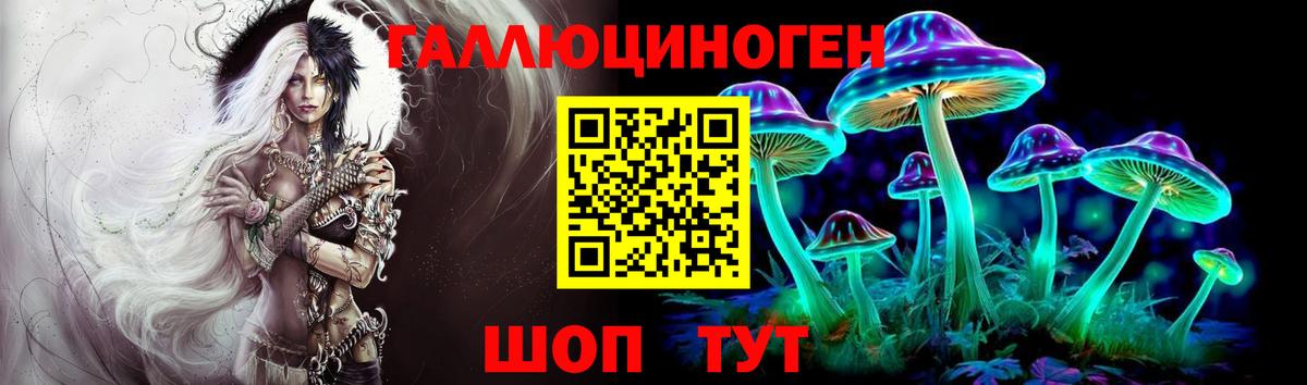 Псилоцибиновые грибы мицелий  Вход с VPN  Камышлов 